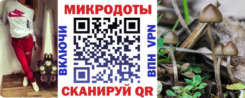 Галлюциногенные грибы Psilocybine cubensis  дарк нет формула  Муравленко  купить   KRAKEN ссылки 