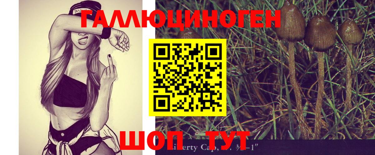 Псилоцибиновые грибы мицелий Муравленко