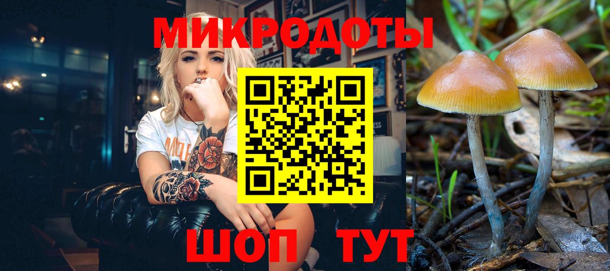 Псилоцибиновые грибы мицелий  Муравленко 